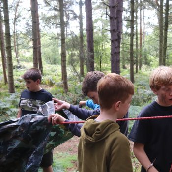 Boys setting up a tent in the woods