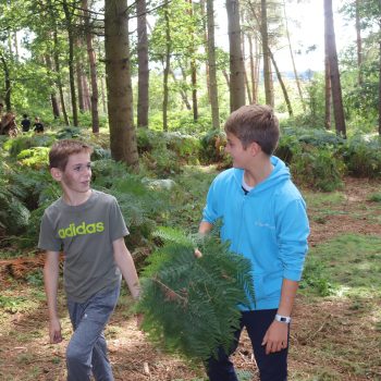 2 young boys looking at each other. One is holding a large fern
