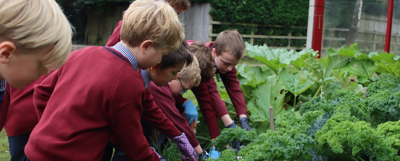 children collectively gardening
