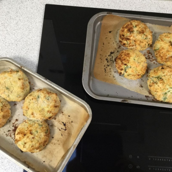 Cooked fish cakes