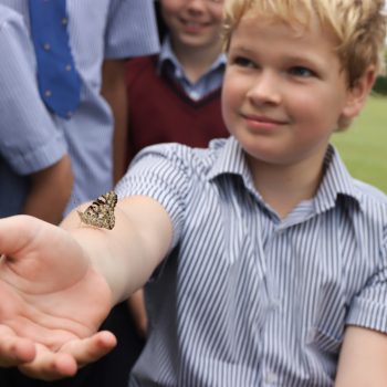 boy holding a butterfly
