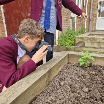 student taking a photo of a plant